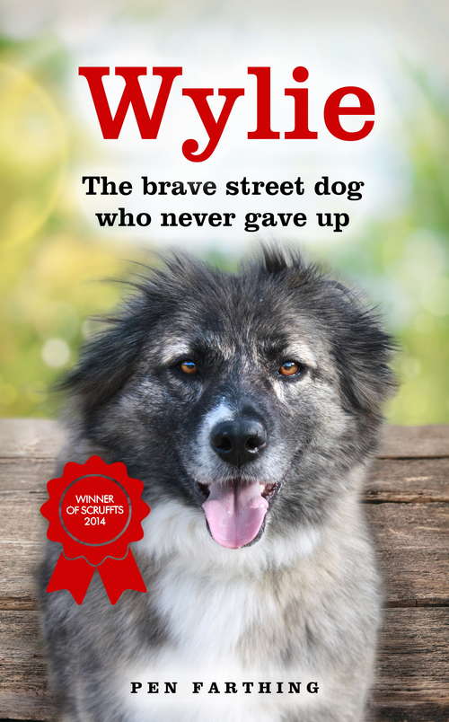 Book cover of Wylie: The Brave Street Dog Who Never Gave Up