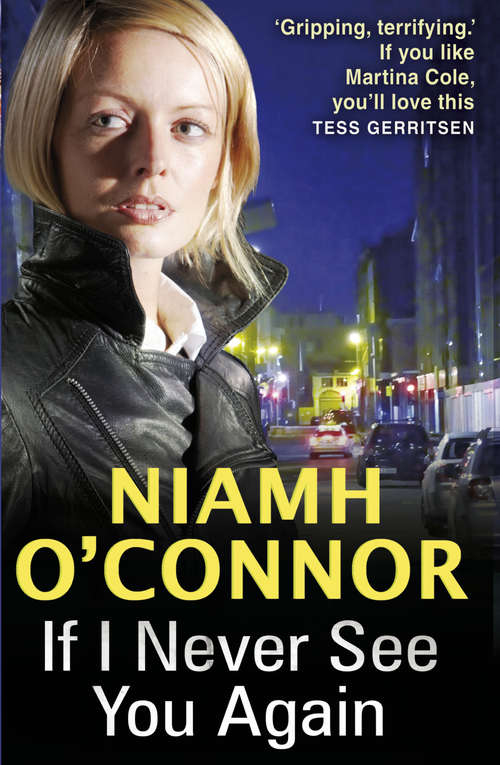 Book cover of If I Never See You Again (A Jo Birmingham Thriller)