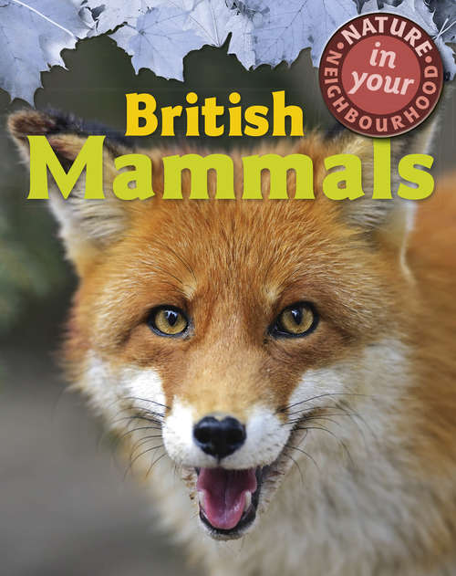 Book cover of British Mammals (Nature in Your Neighbourhood #2)