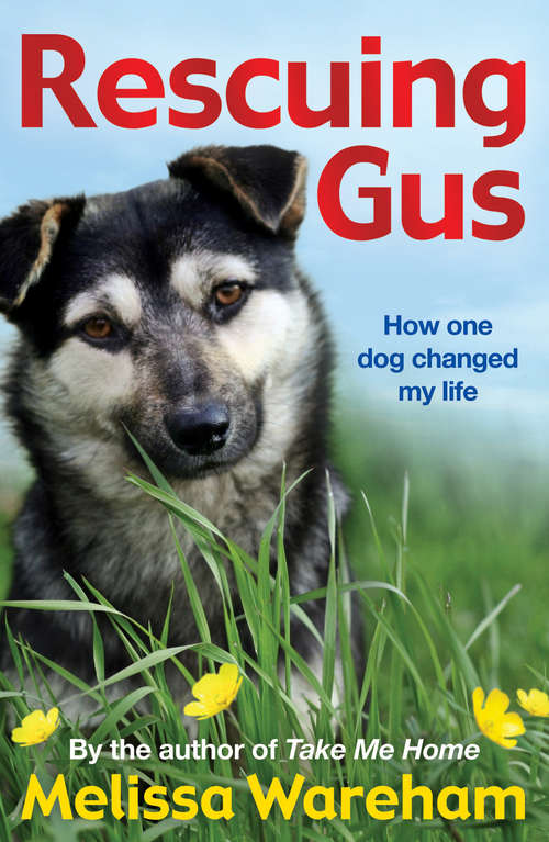 Book cover of Rescuing Gus
