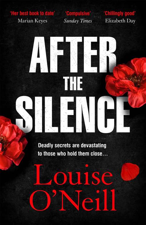 Book cover of After the Silence: a twisty page-turner of deadly secrets and an unsolved murder investigation