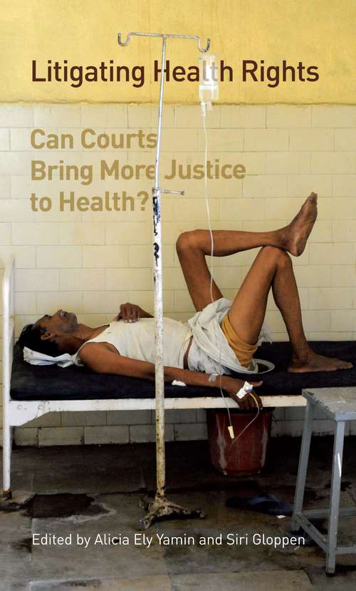 Book cover of Litigating Health Rights: Can Courts Bring More Justice to Health? (Human rights practice series)