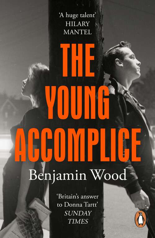 Book cover of The Young Accomplice