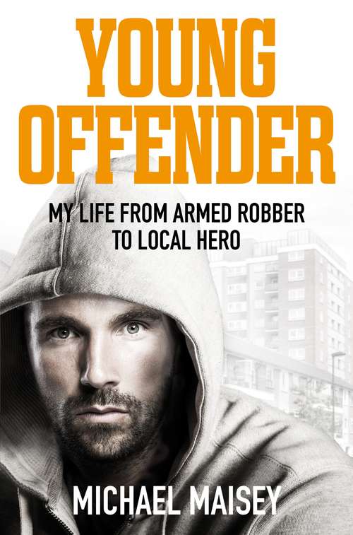 Book cover of Young Offender