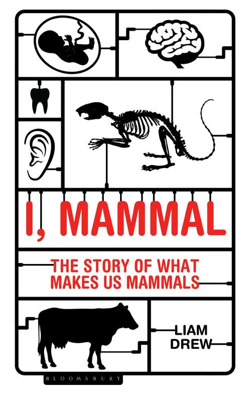 Book cover of I, Mammal: The Story of What Makes Us Mammals