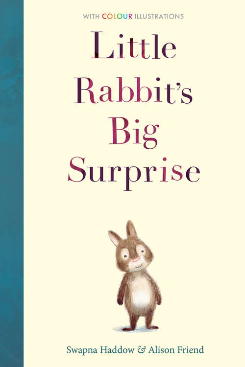 Book cover of Little Rabbit's Big Surprise (Colour Fiction #1)