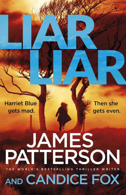 Book cover of Liar Liar: (Harriet Blue 3) (Detective Harriet Blue Series #3)