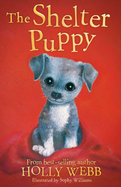 Book cover of The Shelter Puppy (Holly Webb Animal Stories #40)