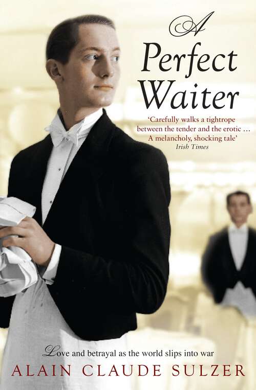 Book cover of A Perfect Waiter: A Novel