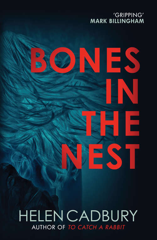Book cover of Bones in the Nest (Sean Denton #2)