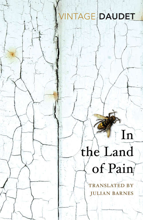 Book cover of In the Land of Pain (Virago Modern Classics)