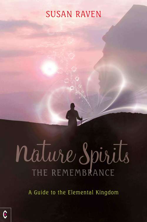 Book cover of Nature Spirits: A Guide to the Elemental Kingdom