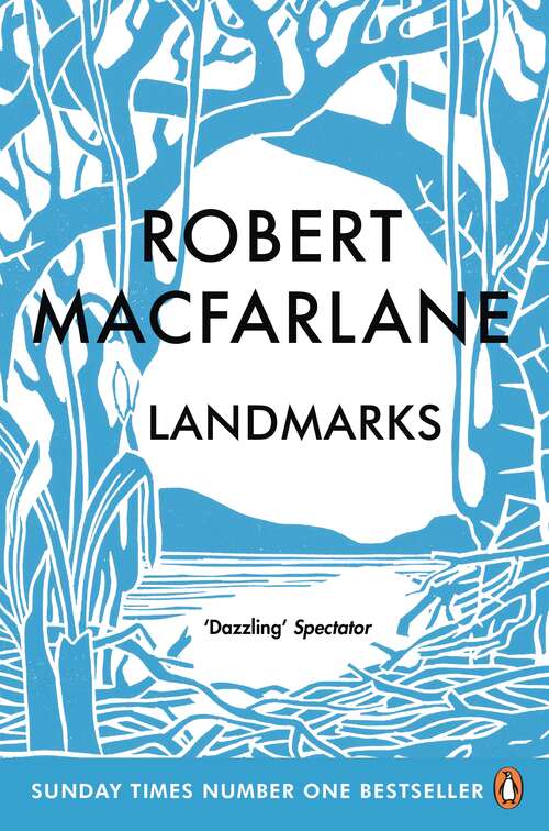Book cover of Landmarks (Landscapes Ser.)