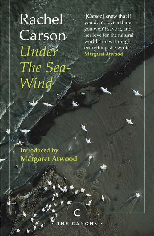 Book cover of Under the Sea-Wind (Canons)