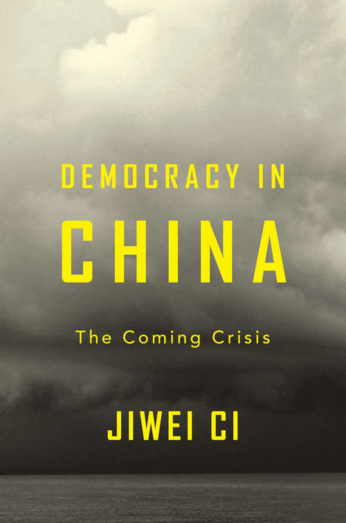 Book cover of Democracy in China: The Coming Crisis