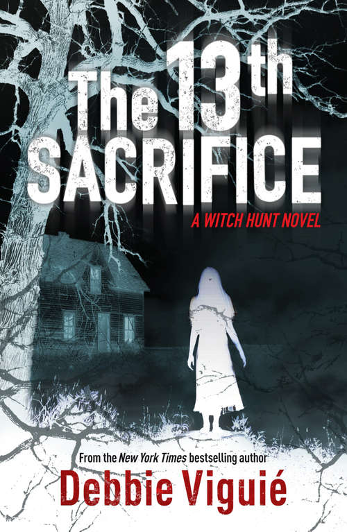 Book cover of The 13th Sacrifice