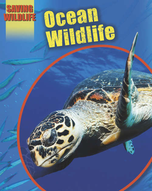 Book cover of Ocean Wildlife (Saving Wildlife)