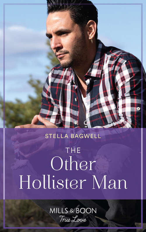 Book cover of The Other Hollister Man (ePub edition)