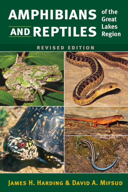 Book cover of Amphibians and Reptiles of the Great Lakes Region, Revised Ed. (Great Lakes Environment)