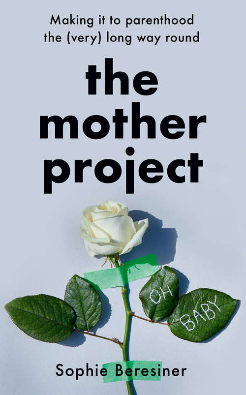 Book cover of The Mother Project: Making It To Parenthood The (very) Long Way Round (ePub edition)