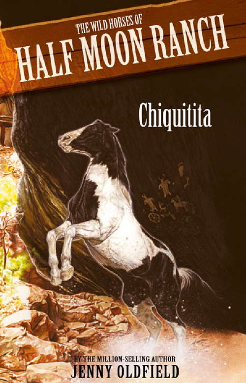 Book cover of Chiquitita: Book 3 (Wild Horses)
