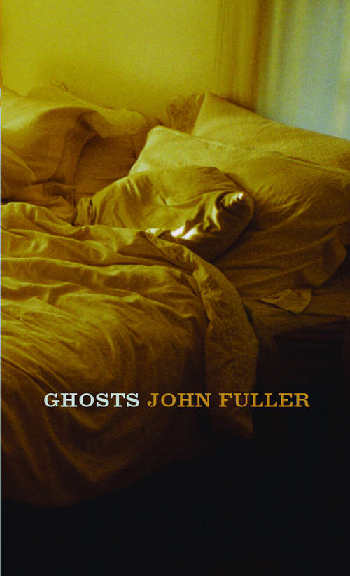 Book cover of Ghosts: An Extraordinary True Story (The\ghost Of Flight 401 Ser.)