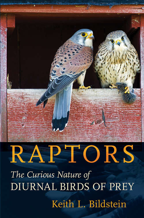 Book cover of Raptors: The Curious Nature of Diurnal Birds of Prey