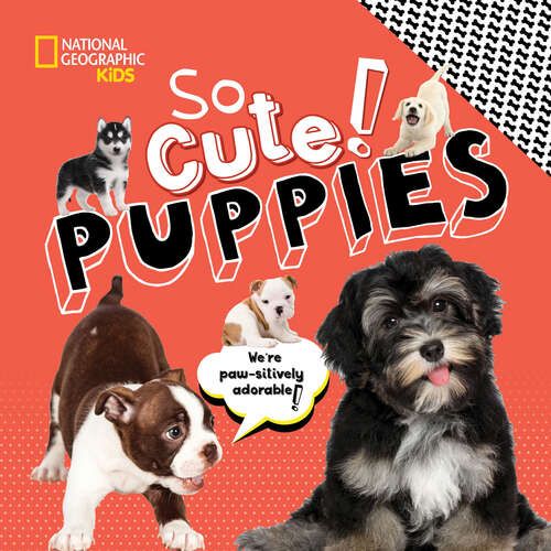 Book cover of So Cute! Puppies (ePub edition) (National Geographic Kids)