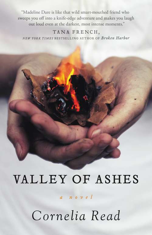 Book cover of Valley of Ashes (A Madeline Dare Novel #4)
