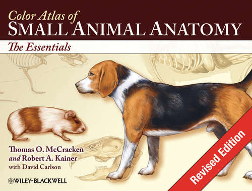 Book cover of Color Atlas of Small Animal Anatomy: The Essentials (Revised Edition)