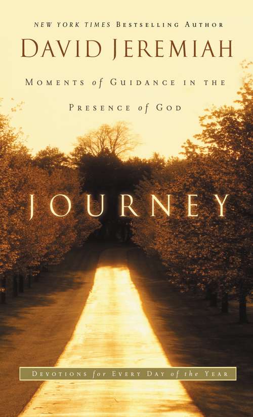 Book cover of Journey: Moments of Guidance in the Presence of God