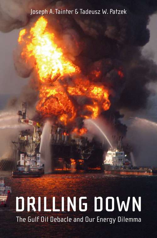 Book cover of Drilling Down: The Gulf Oil Debacle and Our Energy Dilemma (2012)
