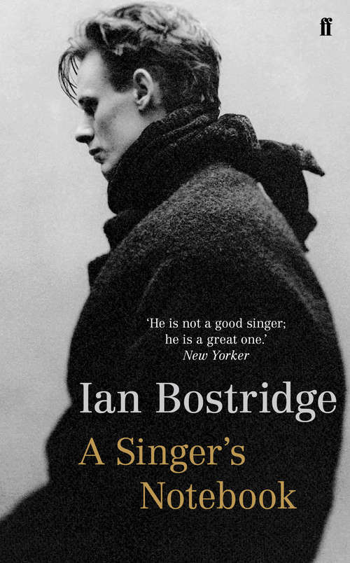 Book cover of A Singer's Notebook (Main)