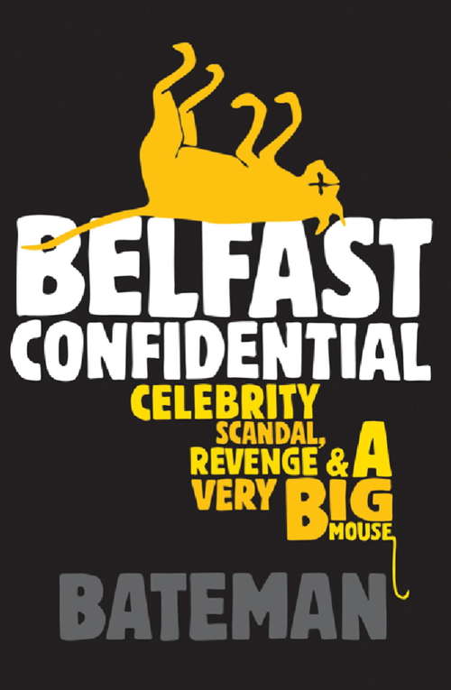 Book cover of Belfast Confidential
