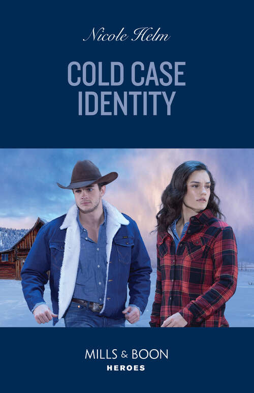 Book cover of Cold Case Identity (ePub edition) (Hudson Sibling Solutions #2)