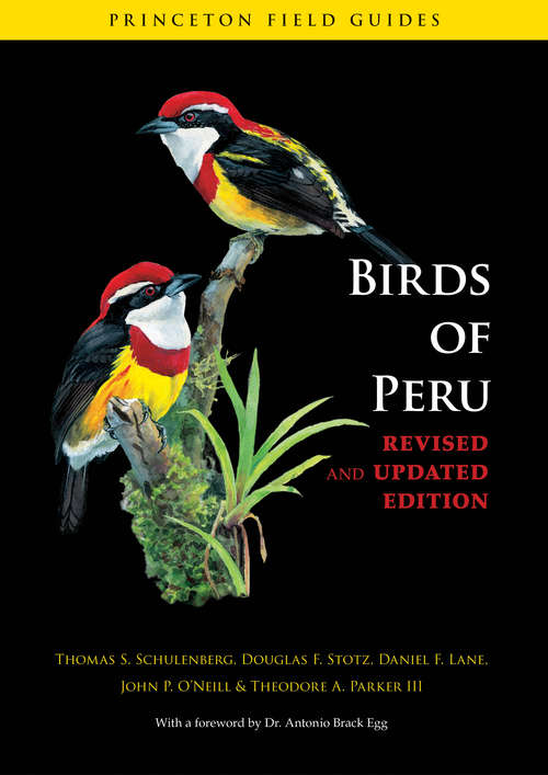 Book cover of Birds of Peru: Revised and Updated Edition (PDF)