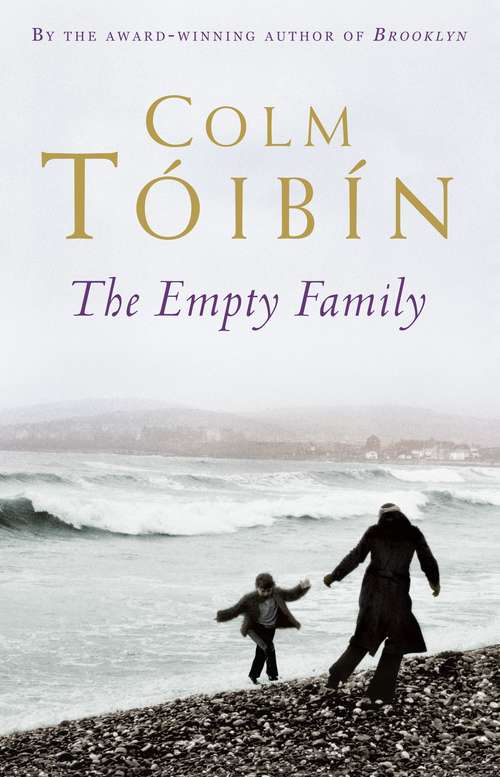 Book cover of The Empty Family: Stories