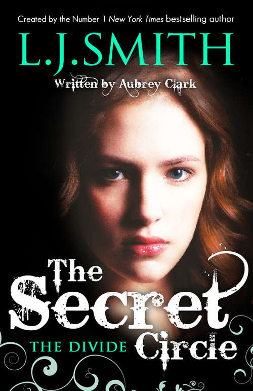 Book cover of The Secret Circle: The Divide: Book 4 (Secret Circle Ser. #4)