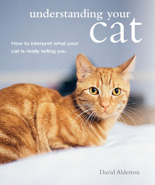 Book cover of Understanding Your Cat: How to interpret what your cat is really telling you