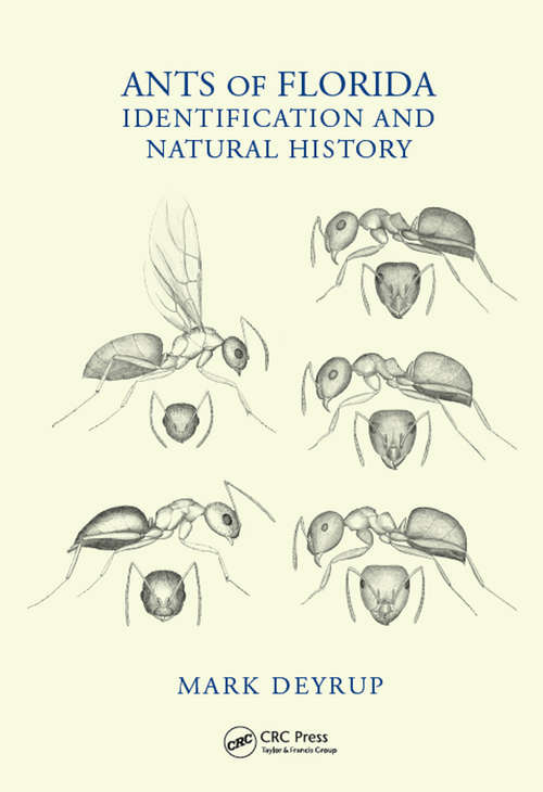 Book cover of Ants of Florida: Identification and Natural History
