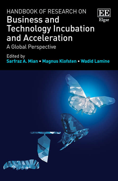 Book cover of Handbook of Research on Business and Technology Incubation and Acceleration: A Global Perspective (Research Handbooks in Business and Management series)