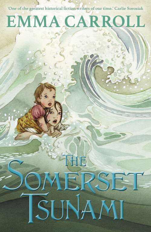 Book cover of The Somerset Tsunami (Main)