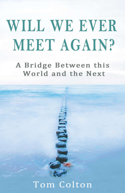 Book cover of Will We Ever Meet Again?: A Bridge Between this World and the Next