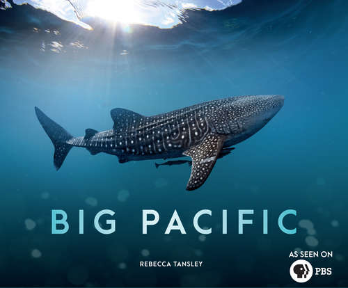 Book cover of Big Pacific: Passionate, Voracious, Mysterious, Violent