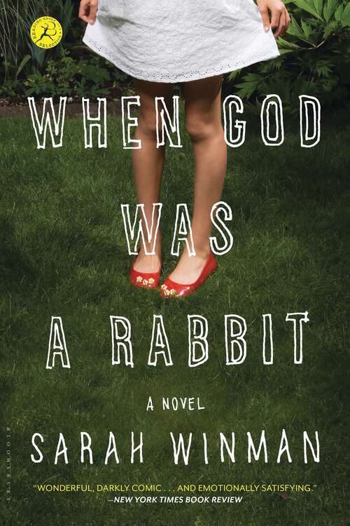 Book cover of When God Was a Rabbit: A Novel
