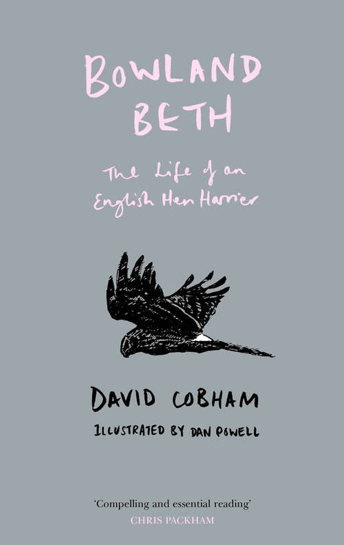 Book cover of Bowland Beth: The Life Of An English Hen Harrier (ePub edition)