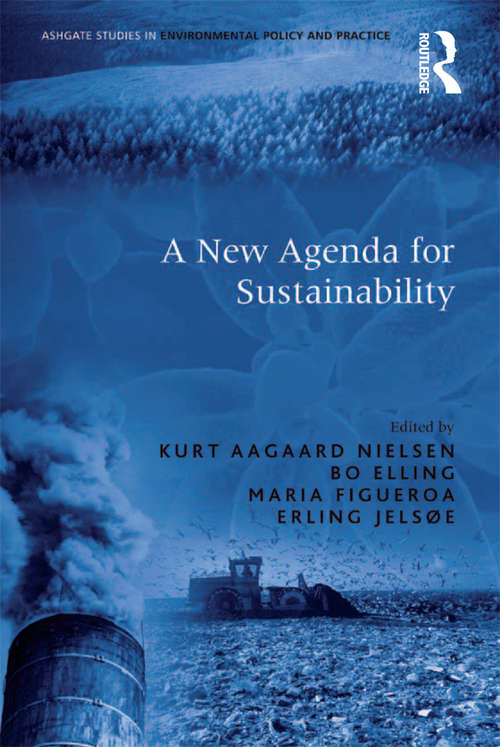 Book cover of A New Agenda for Sustainability (Routledge Studies in Environmental Policy and Practice)