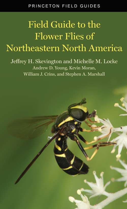 Book cover of Field Guide to the Flower Flies of Northeastern North America (Princeton Field Guides #134)