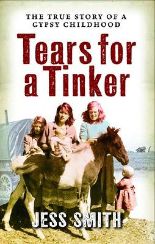 Book cover of Tears for a Tinker: Jessie's Journey Concludes