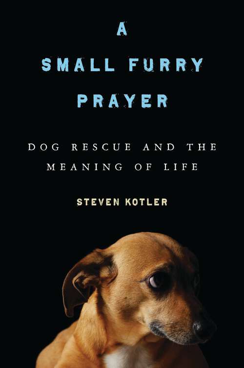 Book cover of A Small Furry Prayer: Dog Rescue and the Meaning of Life